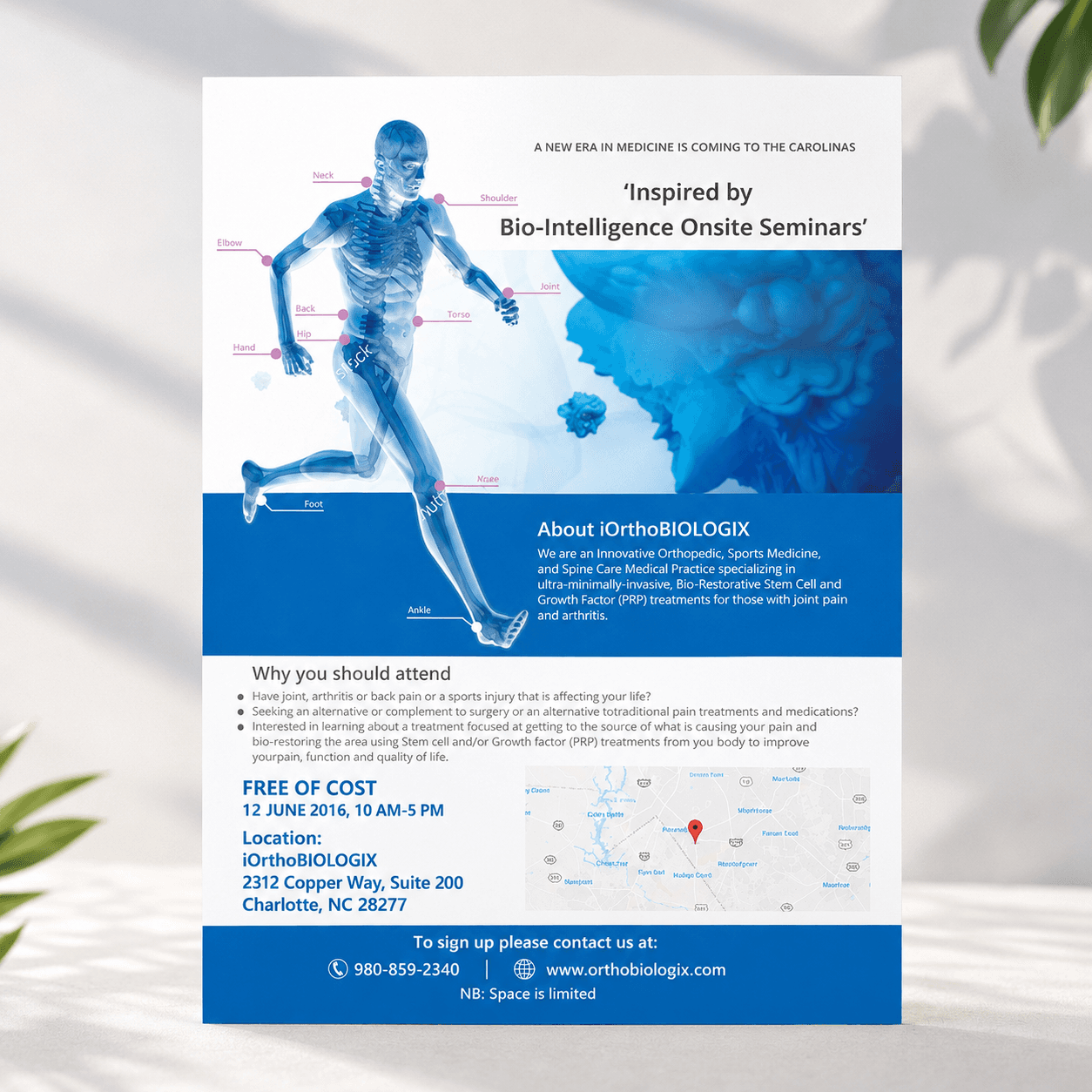 Orthocares Banners & Stickers